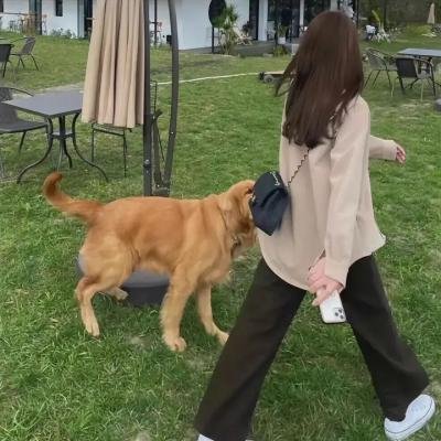 海上烈爱